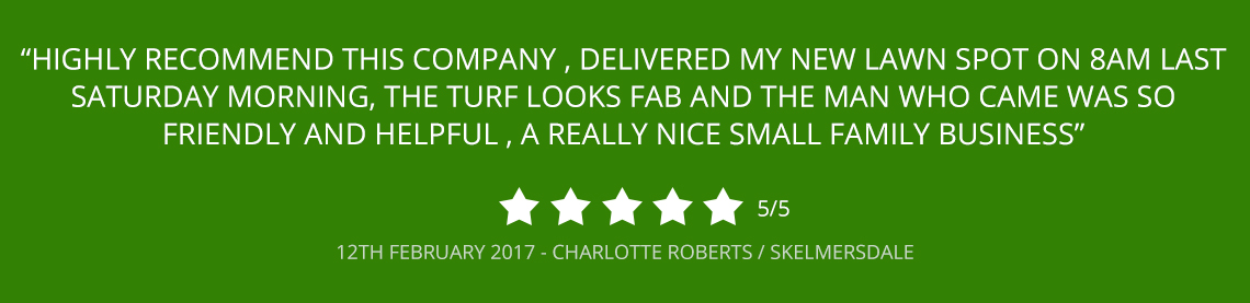 turf review